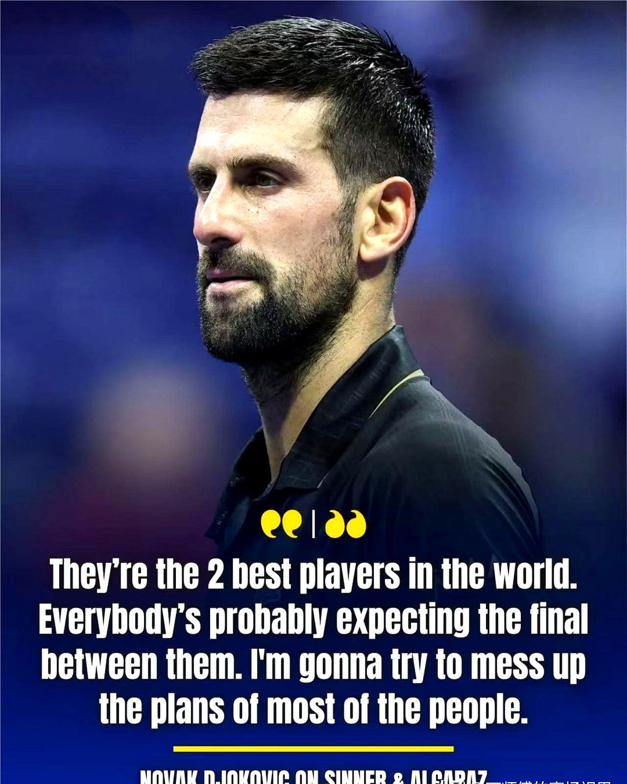 美网鏖战戴维斯杯，德约科维奇带队取胜