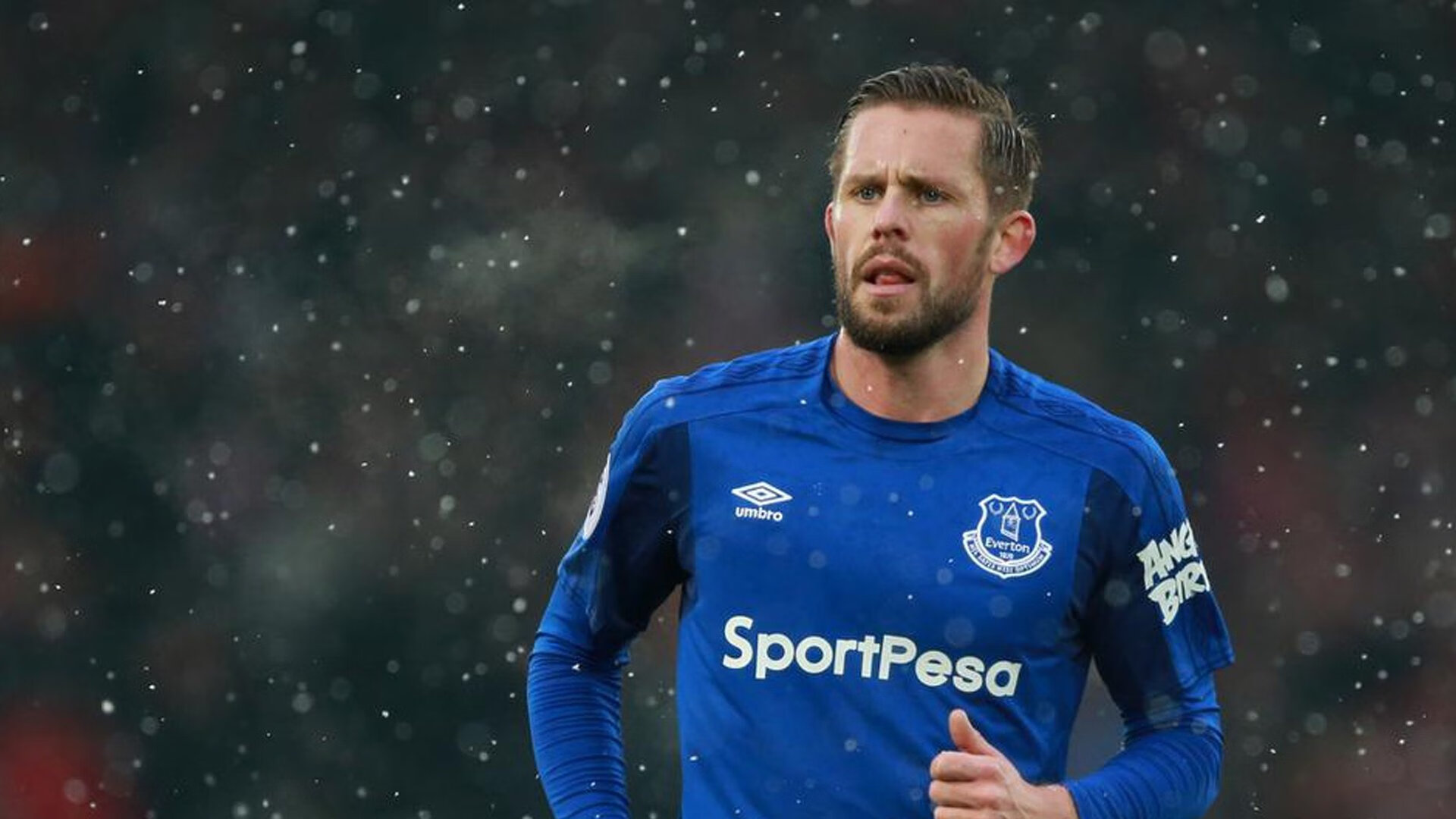 赛道上的三分雨，当库里接管F1争冠战，辽宁队跨洋硬仗启示录