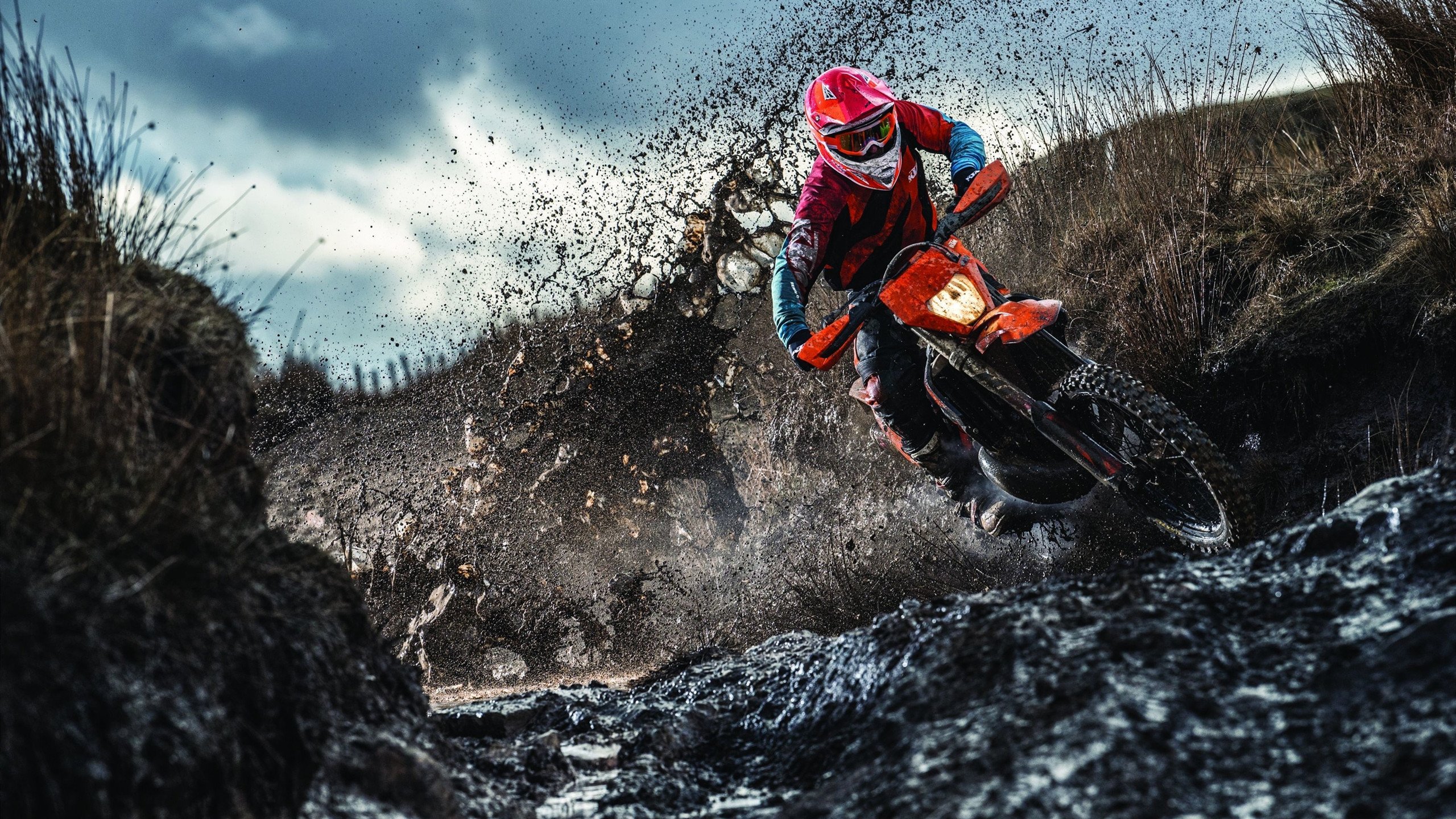 南美风暴，厄瓜多尔横扫巴拉圭，弗拉霍维奇防守端铸就钢铁防线