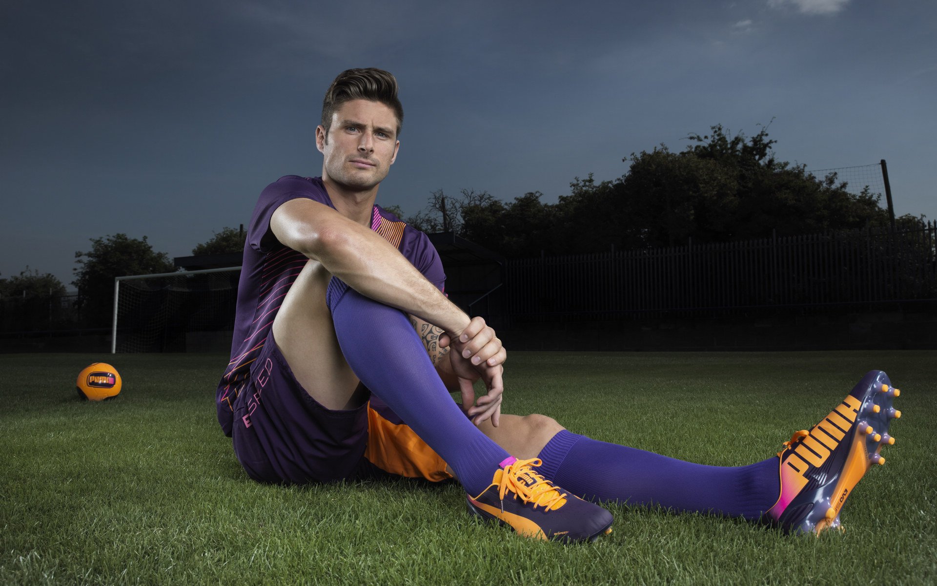 以下是为你构思的标题与文章